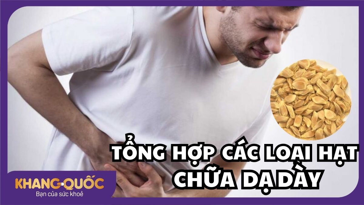 Tổng hợp các loại hạt chữa dạ dày