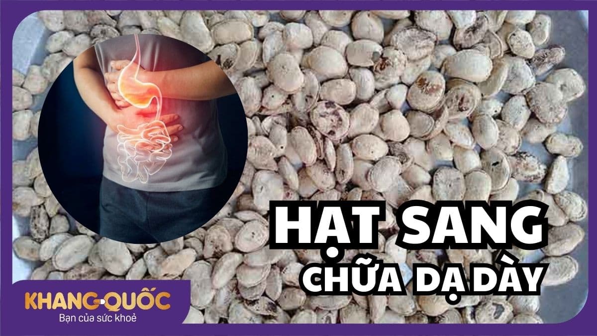 Hạt sang chữa dạ dày: Hiệu quả và an toàn