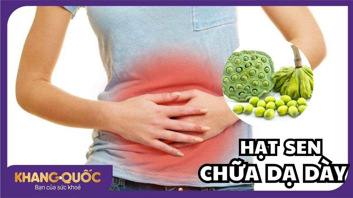 Hạt sen chữa dạ dày: Vừa hiệu quả, an toàn, vừa tiết kiệm