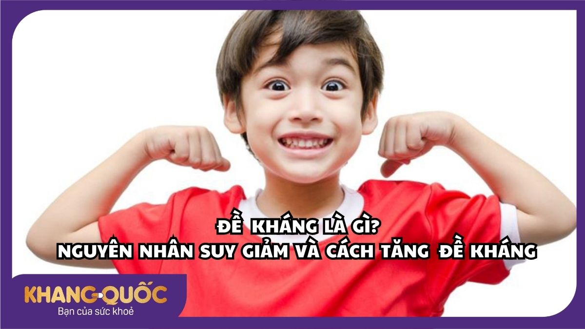 Đề kháng là gì? Nguyên nhân suy giảm và cách tăng đề kháng