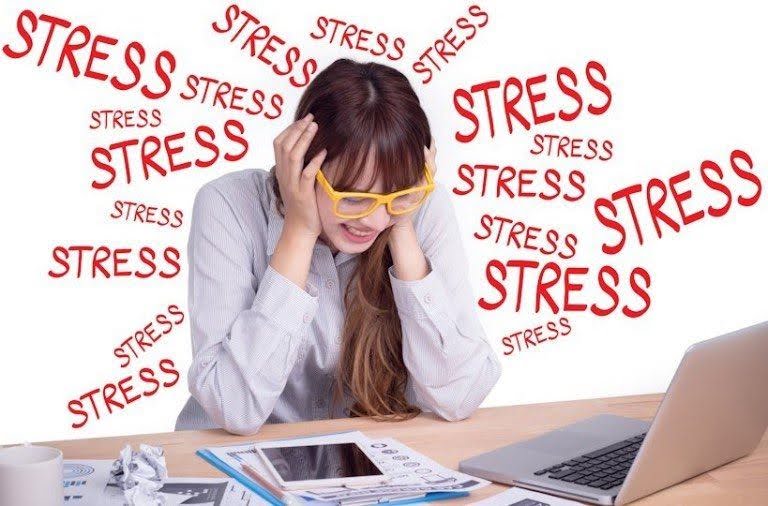 Stress kéo dài giảm khả năng chống lại mầm bệnh