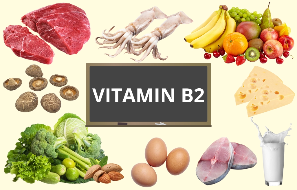 Vitamin B2