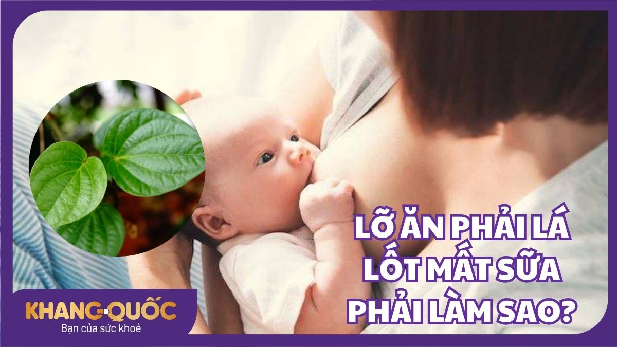 Lỡ ăn phải lá lốt bị mất sữa thì phải làm sao?