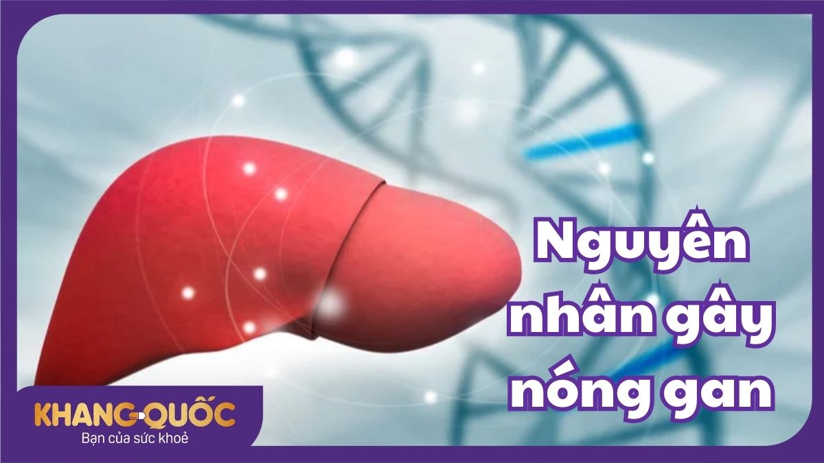 Giải mã: Nguyên nhân nóng gan và cách khắc phục