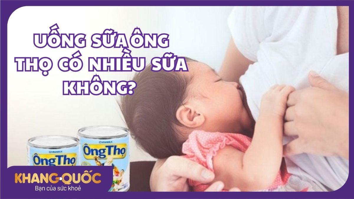 Giải đáp: Uống sữa Ông Thọ có nhiều sữa không?