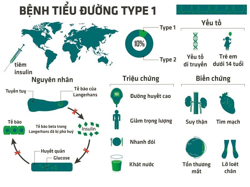 Bệnh đái tháo đường loại 1