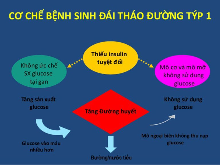 Co chế bệnh tiểu dường type 1