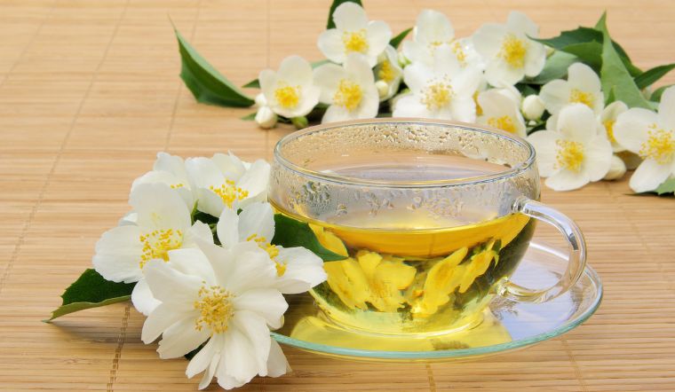 Trà hoa nhài là loại trà thanh nhiệt được ưa chuộng nhất trên thế giới