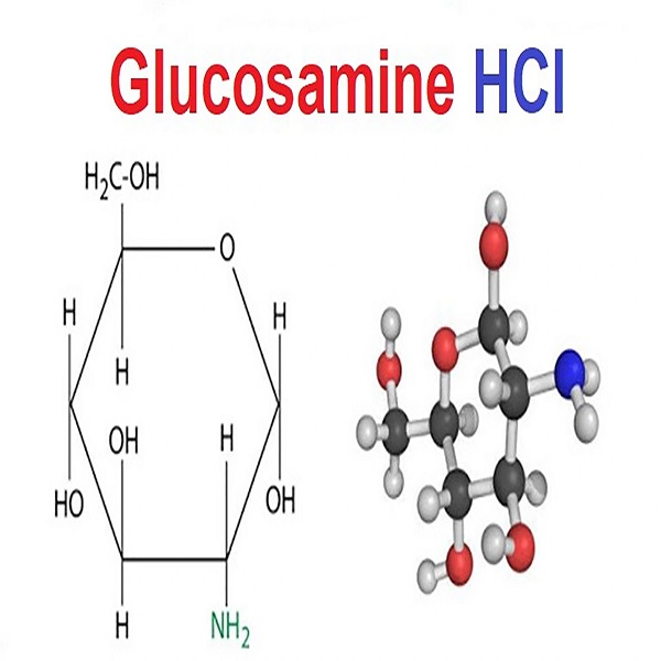 Thiếu Glucosamine gây đau nhức xương khớp