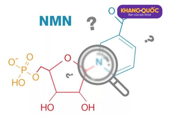 Viên uống NMN được biết đến với rất nhiều công dụng