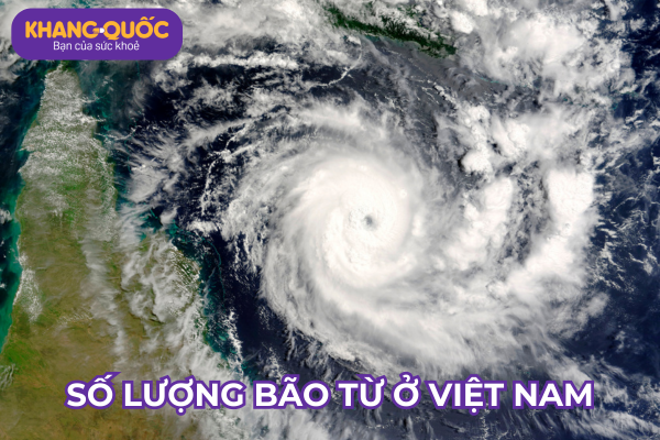 Số lượng Bão từ ở Việt Nam