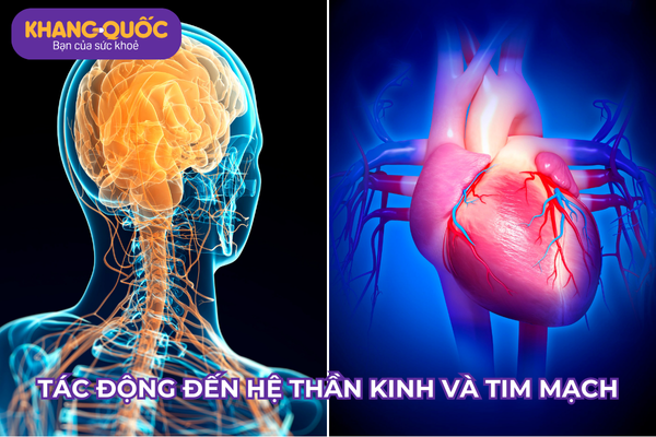 Tác Động Đến Hệ Thần Kinh và Tim Mạch